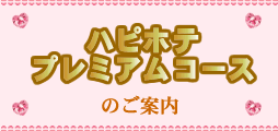 ハピホテプレミアムコースのご案内